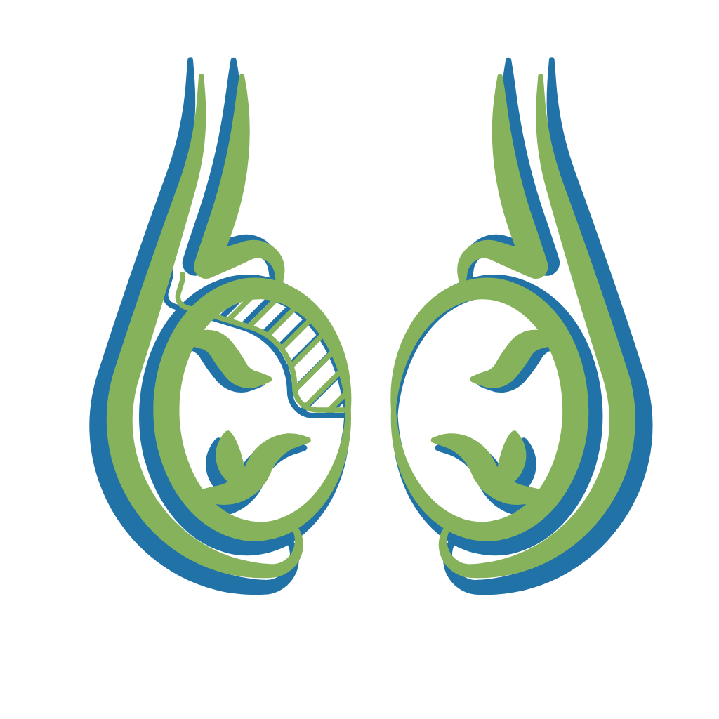 Testicular Dysfunction