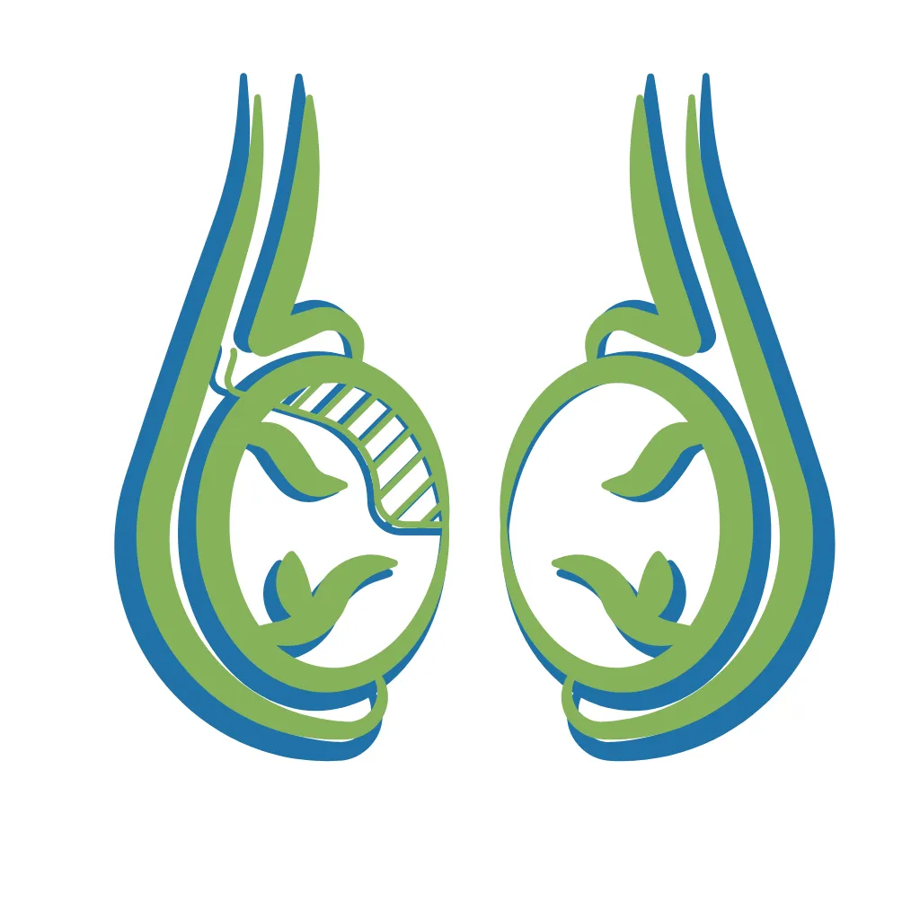 Testicular Dysfunction