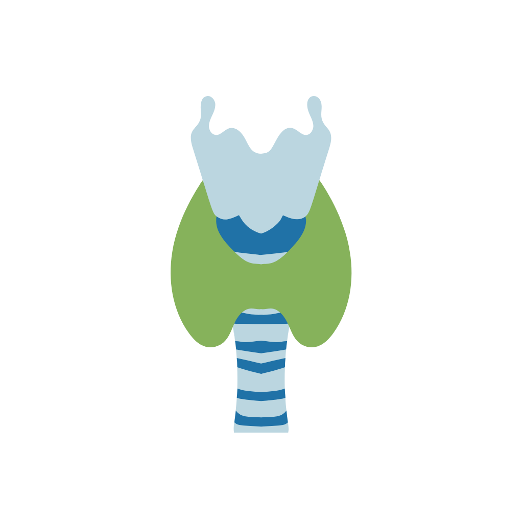 Thyroid