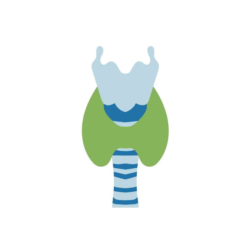 Thyroid